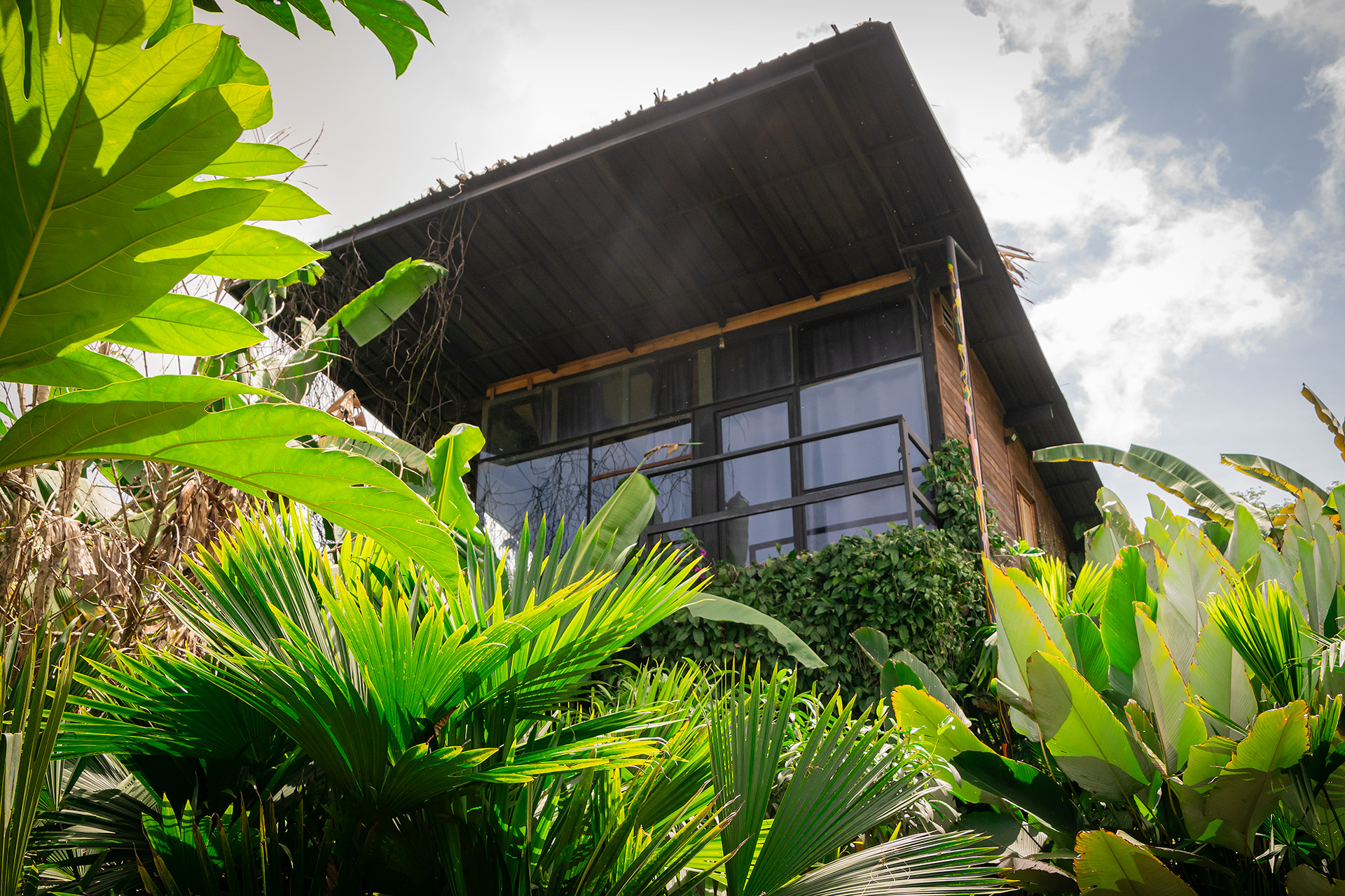 Villa boho-selvática y piscina tipo laguna en Cerro Tusa Springs