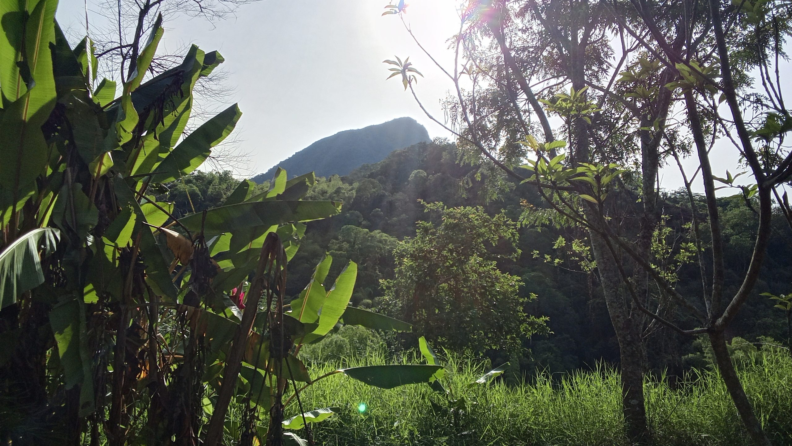 Cerro Tusa Springs beneath the natural pyramid, ideal for a women's retreat