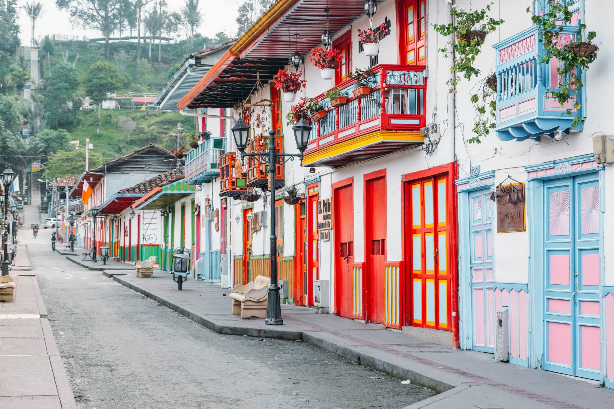Palmas de cera del Valle de Cocora cerca de Salento, en la región cafetera de Colombia